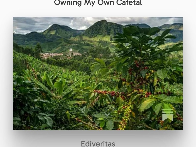 From Picking Coffee Cherries as a Child to Owning My Own&nbsp;Cafetal